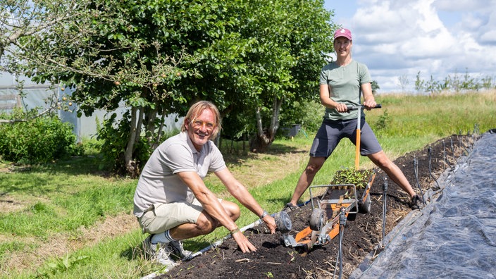  Frank Buchholz pflanzt Setzlinge mit Ankie Ytsma.