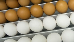 Viele braune und weiße Eier nebeneinander.