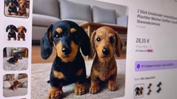 Das Bild zeigt zwei Roboterhunde als Spielzeuge für Kinder.