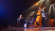 John Scofield