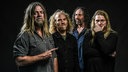 Corrosion Of Conformity