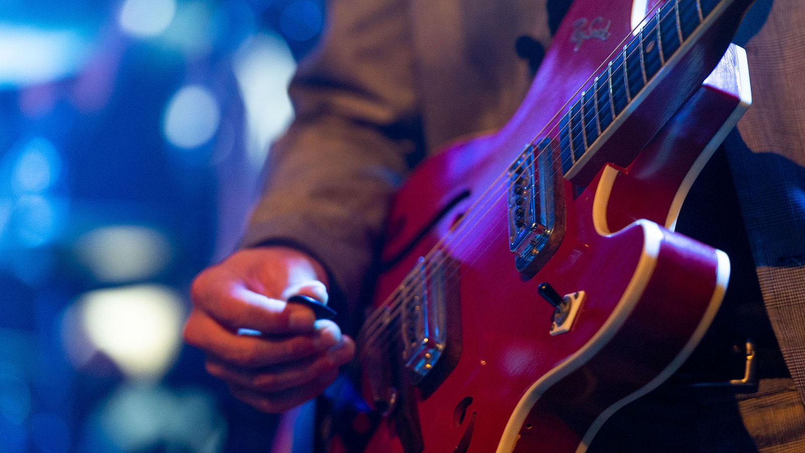Shirley Davis & The Silverbacks