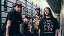 Cancer Bats