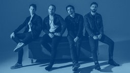 The Bluebay Foxes