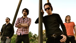 The Volcanics