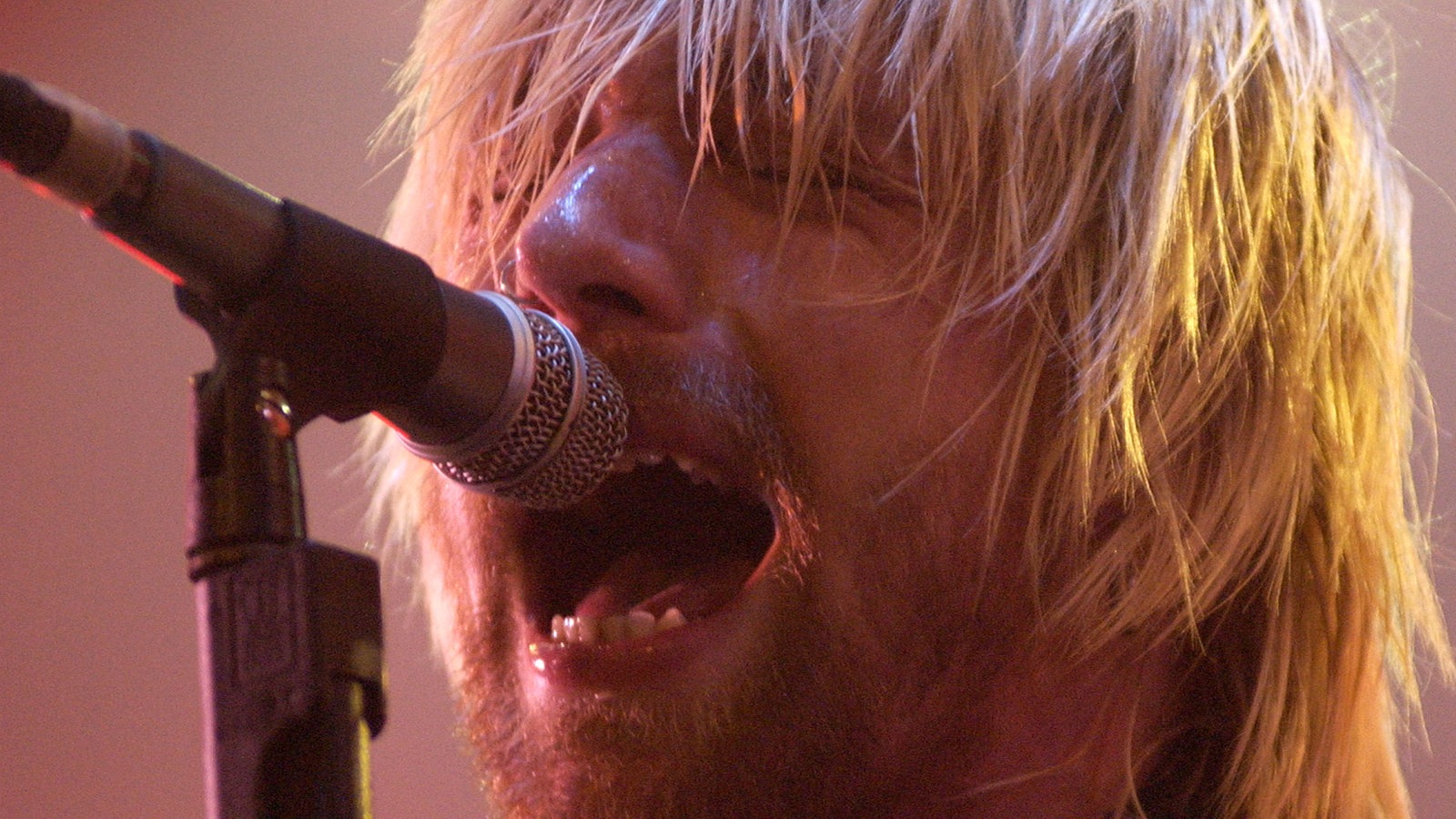 Backyard Babies beim Bizarre Festival 2001