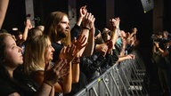 Cancer Bats