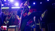 Cancer Bats