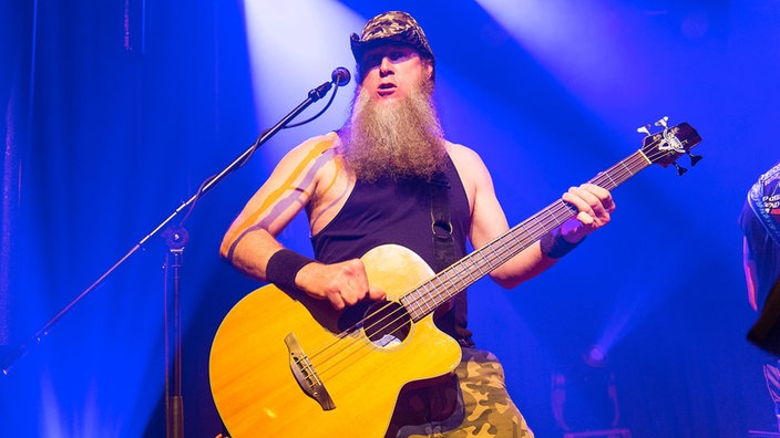 Hayseed Dixie
