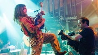 Hayseed Dixie