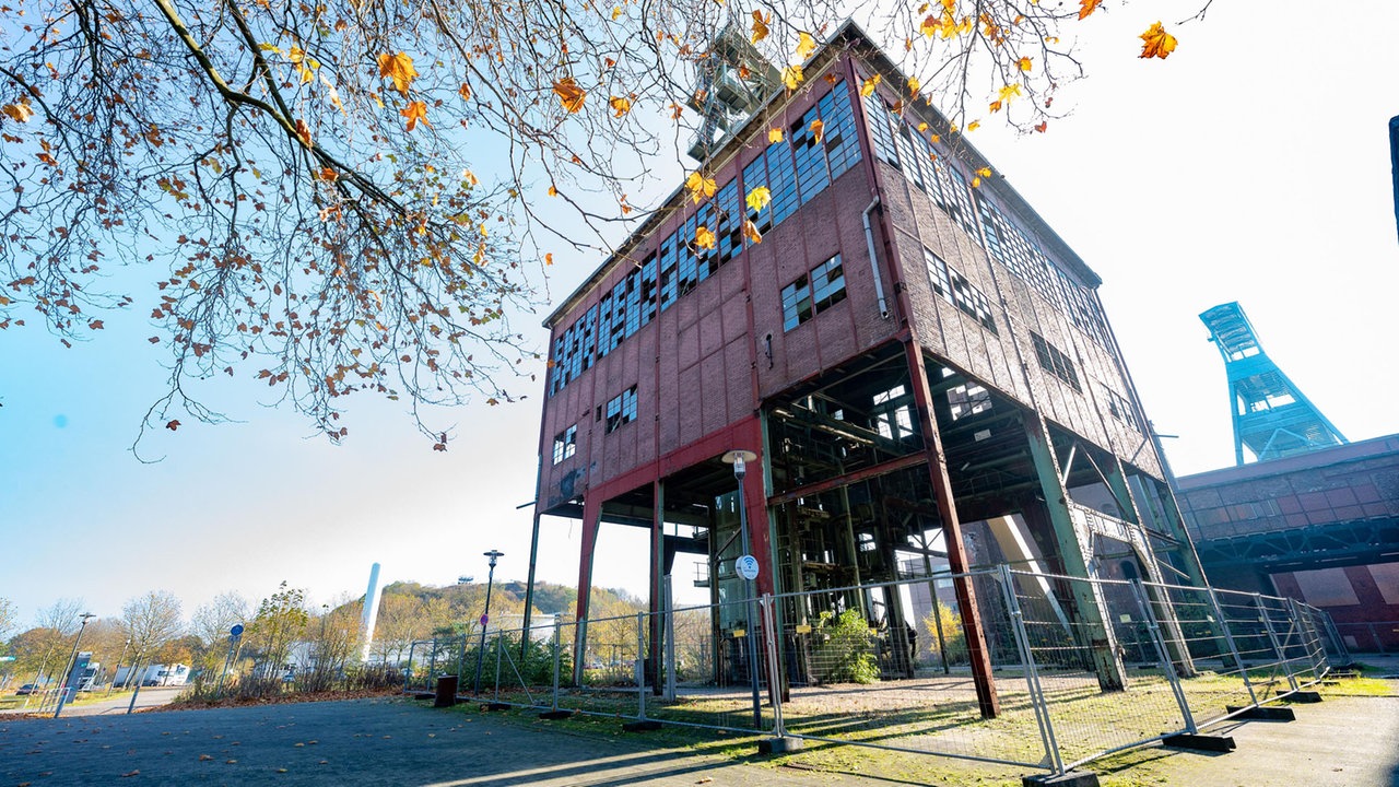 Das Lumpenpack: Rockpalast OFFSTAGE in der Zeche Ewald, Herten