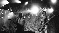 Die Toten Hosen