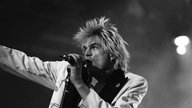 Die Toten Hosen