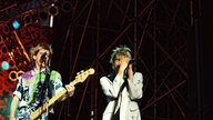 Die Toten Hosen