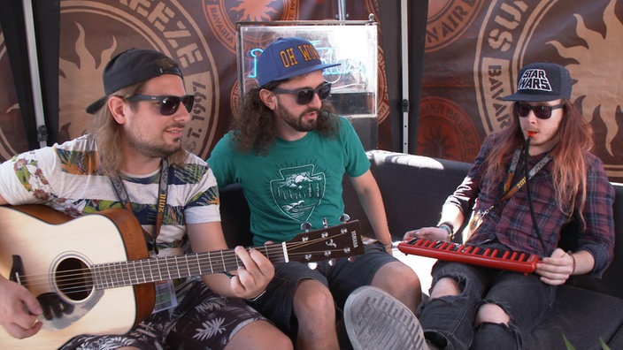 Alestorm unplugged beim Summer Breeze 2018