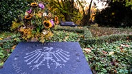 Die Toten Hosen