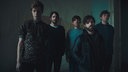 Foals