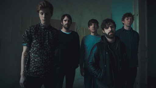 Foals