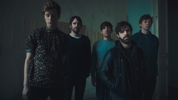 Foals