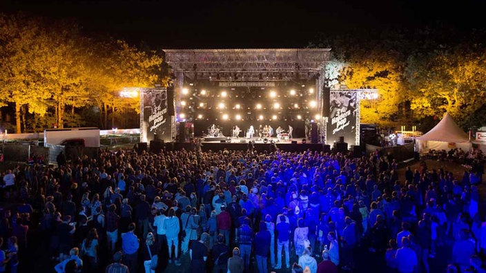 Das Publikum beim Haldern Pop Festival