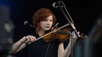 Honig beim Haldern Pop Festival 2014 