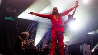 Melvins