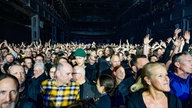 New Model Army