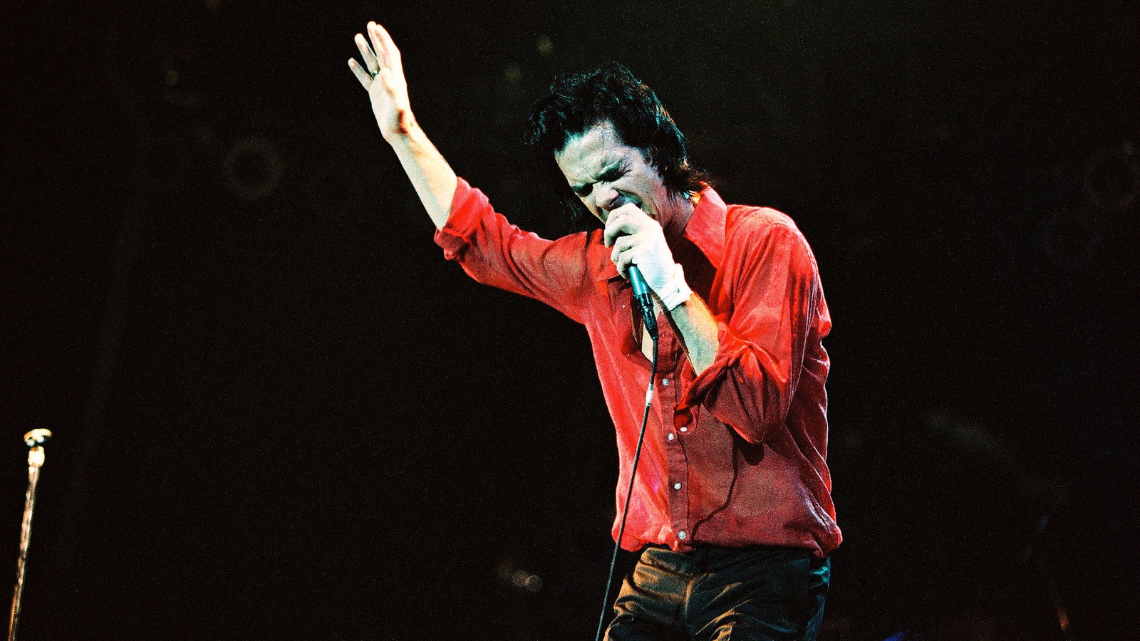 Nick Cave And The Bad Seeds