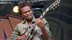 Der Gitarrist von Raging Fyah