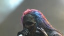 Slipknot bei Rock am Ring