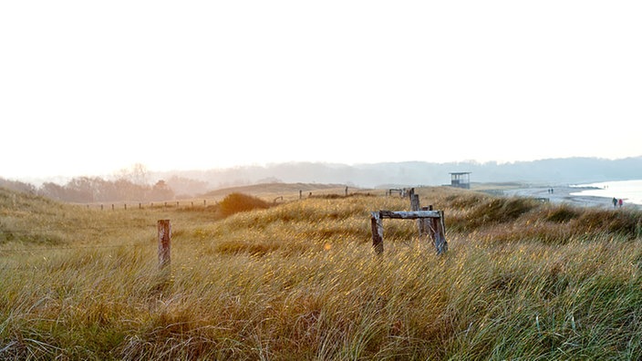 Der Weißenhäuser Strand.