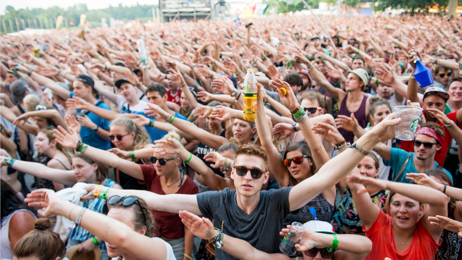 Summerjam 2015