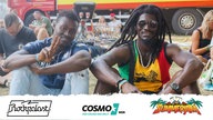 Publikumfotos Summerjam 2018