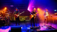 The Bluebay Foxes