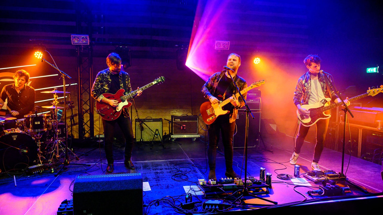 The Bluebay Foxes