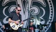 The Polvos!