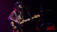 The Sheepdogs