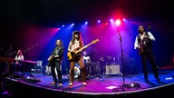The Sheepdogs