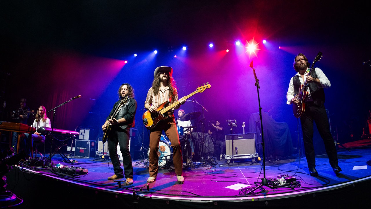 The Sheepdogs