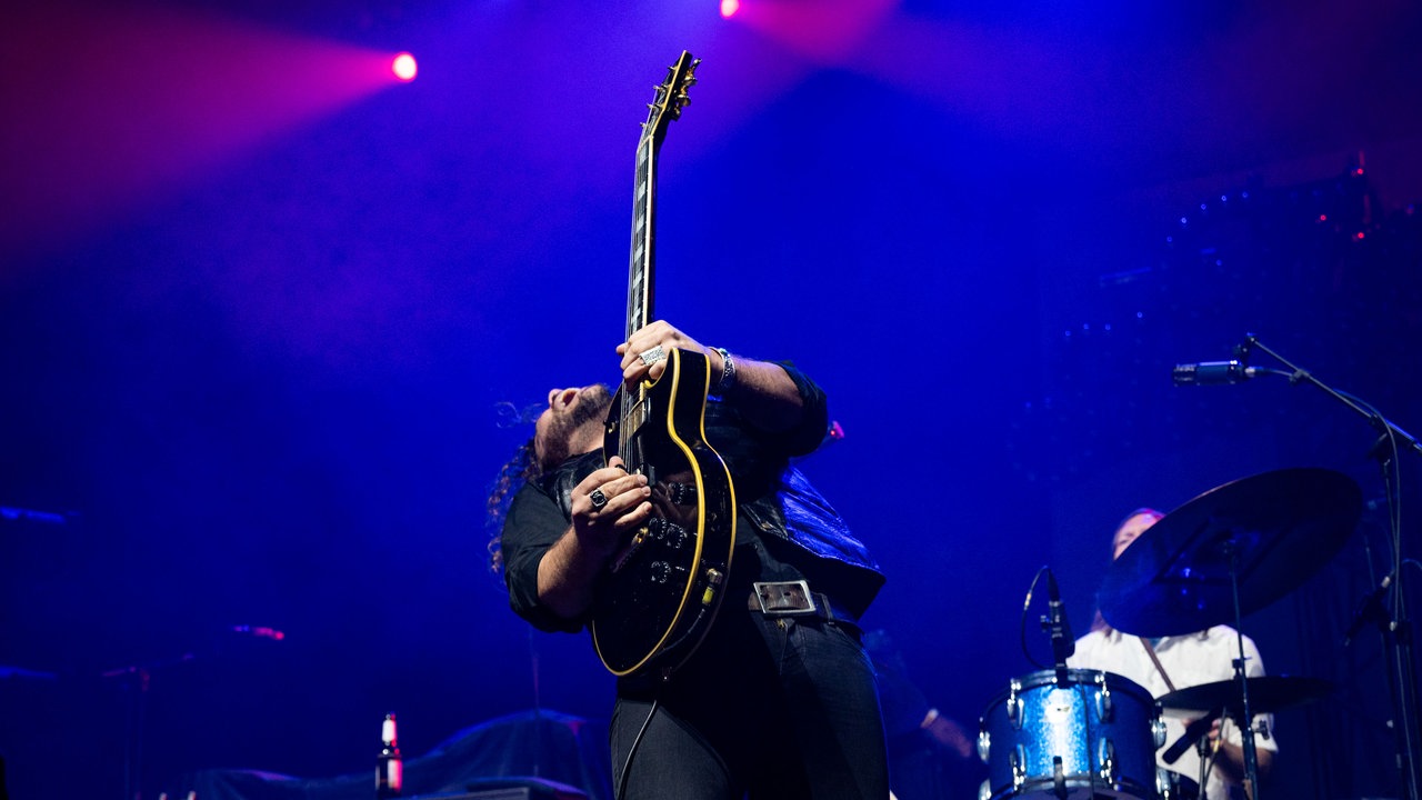 The Sheepdogs