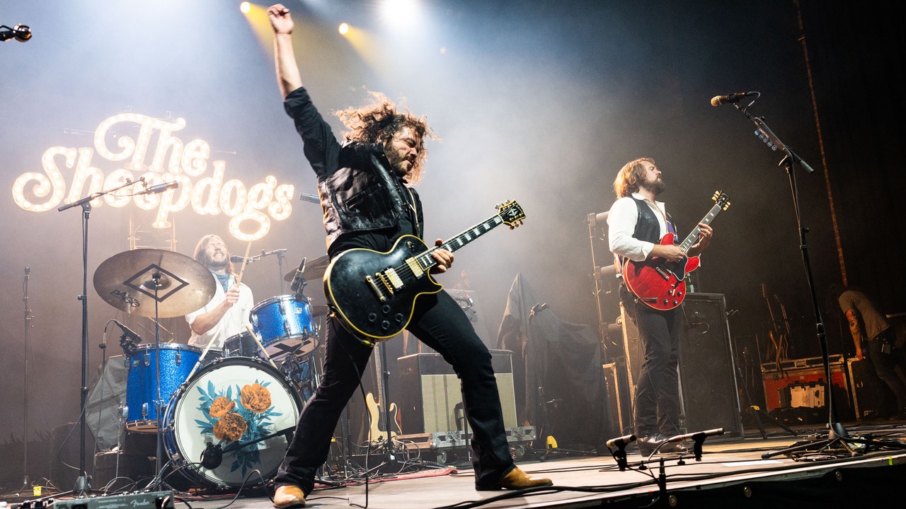 The Sheepdogs