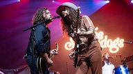 The Sheepdogs