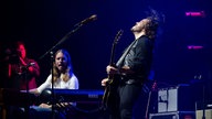 The Sheepdogs