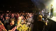 The Sheepdogs