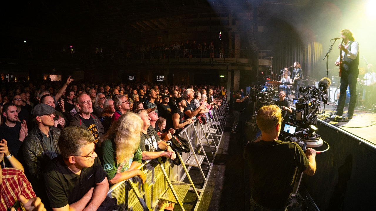 The Sheepdogs