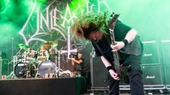 Unleashed