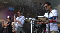 The Black Seeds