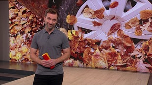 Daniel Aßmann steht im Servicezeit-Studio. Im Hintergrund sieht man die Nauaufnahme eines Reifens belegt mit Laub.