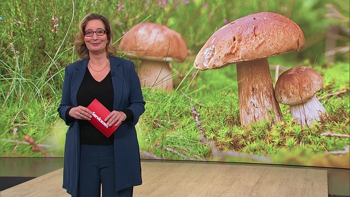 Yvonne Willicks steht im Servicezeit-Studio. Im Hintergrund sieht man ein Bild von Waldpilzen.