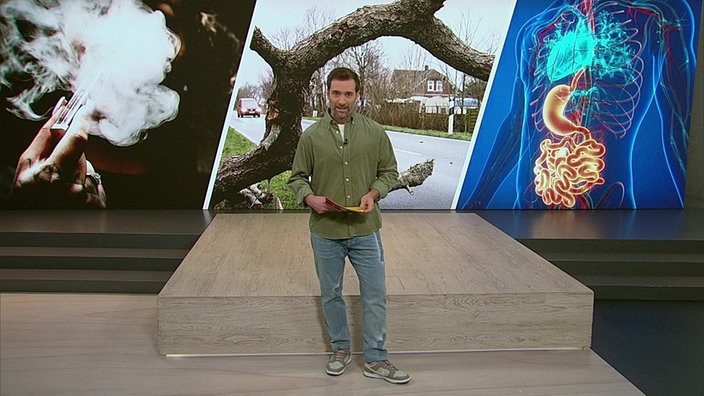 Moderator Daniel Aßmann im Studio für die Servicezeit.
